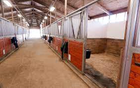 flooring in horse barns le management