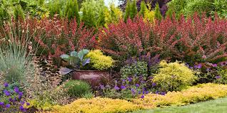 Discover ideas for gardens from the experts at hgtv gardens. Easy Landscaping Ideas For Designing A Beautiful Garden Better Homes Gardens