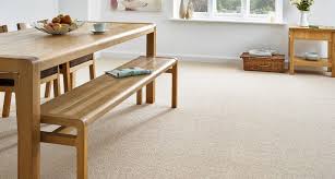 professional carpet ing services in