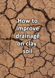 How To Improve Drainage On Clay Soil