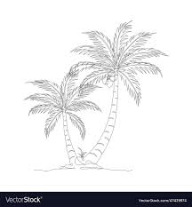 coconut tree line art drawing royalty
