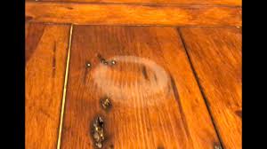 remove water stains in wood with a hair