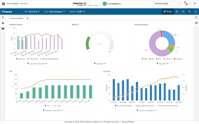 Financial Dashboard Software And Data Visualization Software
