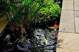 15 small backyard pond ideas water