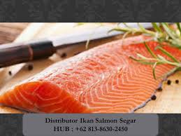 Cara mudah masak ikan salmon enak banget. Resepi Ikan Salmon Grill Untuk Bayi