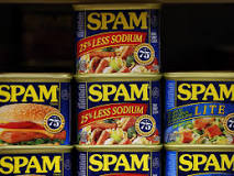 What is the gel in Spam?