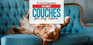 top 50 best couches for dogs and their