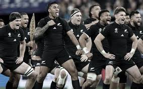 highlights new zealand vs south africa
