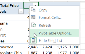 excel pivot table option settings