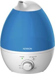 Pick The Right One With The Help Of Top 5 Best Humidifier