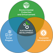 sustainable development definition arena