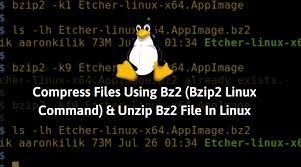 compress files using bz2 bzip2 linux