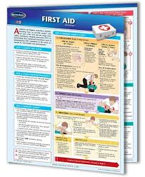 First Aid Chart 4 Page Laminated Medical Quick Reference Guide