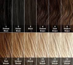 Hair Level Chart Great To Know Your Base Or Starting Point