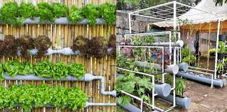 Vertical Farming At Home Benefits