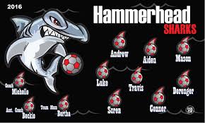 hammerhead sharks banner 3 x 5