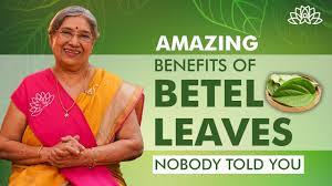 discovering betel leaves benefits