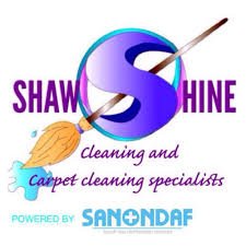 the best 10 carpet cleaning near forth