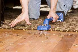 Hardwood flooring is one of the more expensive types of flooring on the market. Should You Choose Carpet Or Hardwood Carpettogo