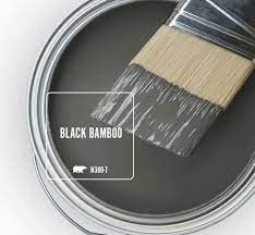 Black Bamboo Behr Paint Color