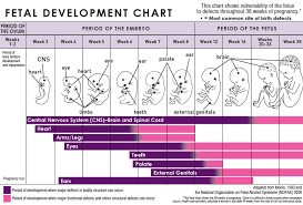 Baby Week Week Online Charts Collection