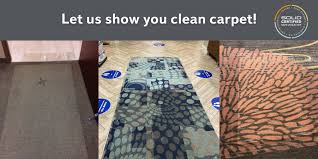 are your carpets really clean solid