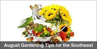 August Gardening Tips For The Southeast
