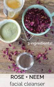 three ing neem face wash recipe