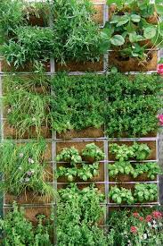 Vertical Gardening 101 How To Use