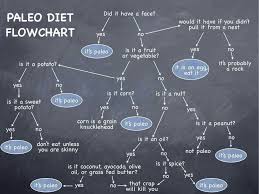 Paleo Diet Flowchart Help Me To Remember What I Can And Can