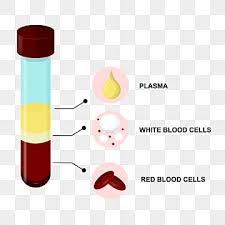 blood composition png transpa