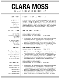 Modern Resume Template For Ms Word Professional Cv