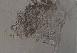 Preventing Efflorescence Spalling In