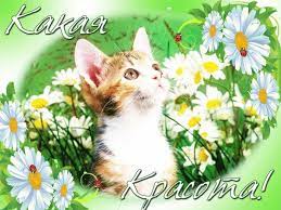 Картинки "Ух ты, какая красота" (20 фото) • Прикольные картинки и позитив