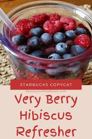 homemade very berry hibiscus refresher