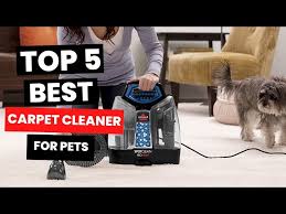 best carpet cleaner for pets 2024 say