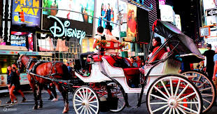 Times Square Horse Carriage Tour