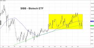 Stocks Decline Heres What Biotechnology Is Telling