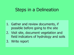 Ppt An Overview Of Wetland Delineation Powerpoint