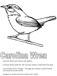 Free printable state of south carolina coloring pages showing state history, demographics, and points of interest. Carolina Wren Coloring Page