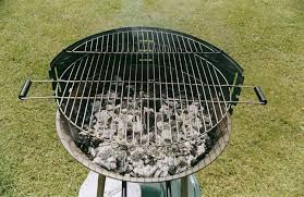 charcoal gas or electric grill which