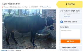 Join the millions who buy and sell from each other everyday in local communities around the world. The 10 Weirdest Things You Can Buy Off Olx And Quikr Ndtv Gadgets 360