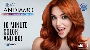 Color In 10 Minutes With Aloxxis Andiamo Express Permanent Colour