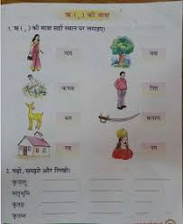 Hindi Grammar Work Sheet Collection For Classes 5 6 7 8
