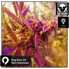 rare dankness uk based cans seeds