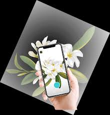 Free plant identification app iphone looking to use free latest apps now. Plant Identification App 1 Plantyx App