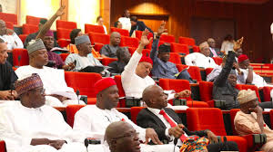 Image result for Nigerian Senate