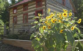 Fairfield Farm Guest Cabin