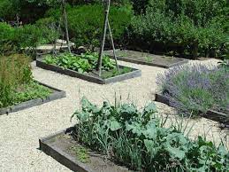 Tips On Growing Your Own Vegetable Garden
