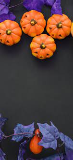 Halloween, pumpkin, berries, decoration ...